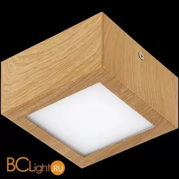 Спот (точечный светильник) Eglo Colegio 95195