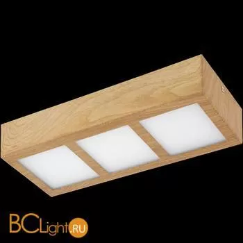 Спот (точечный светильник) Eglo Colegio 95197