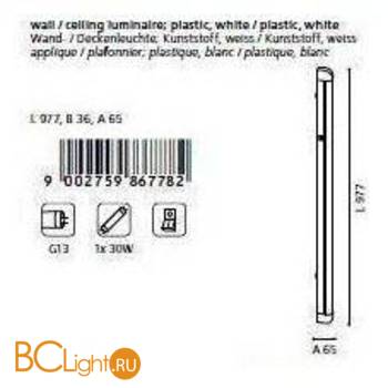 Настенно-потолочный светильник Eglo Enja8 86778 - Схема