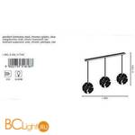 Подвесной светильник Eglo Fenari 91818 - Схема