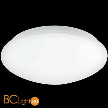 Настенно-потолочный светильник Eglo Giron 95003