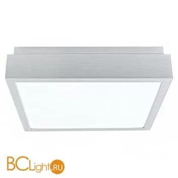 Настенно-потолочный светильник Eglo Idun 88891