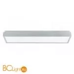 Настенно-потолочный светильник Eglo Idun 88894