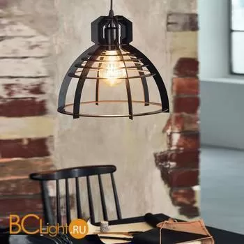 Подвесной светильник Eglo Ipswich 49158 - Фото 1