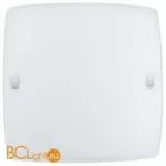 Настенно-потолочный светильник Eglo Led Borgo2 91851