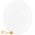 Настенно-потолочный светильник Eglo Led Ella 91848