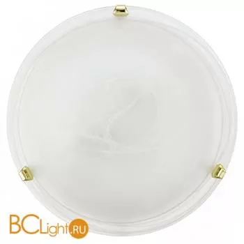 Настенно-потолочный светильник Eglo Led Salome 93281