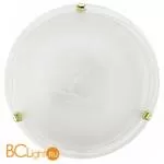 Настенно-потолочный светильник Eglo Led Salome 93281