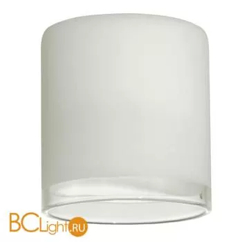 Белый матовый стеклянный плафон Eglo My choice 90253