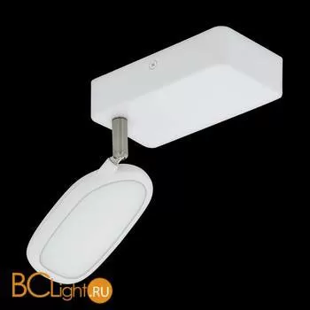 Настенно-потолочный светильник Eglo Palombare-C 97691