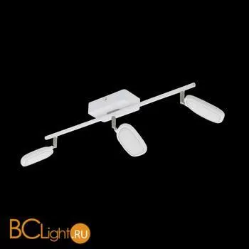 Настенно-потолочный светильник Eglo Palombare-C 97693