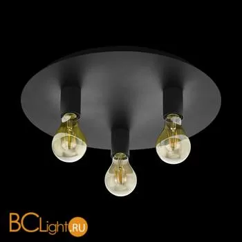 Потолочный светильник Eglo Passano 98156