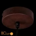 Подвесной светильник Eglo Petto 49233 - Фото 2