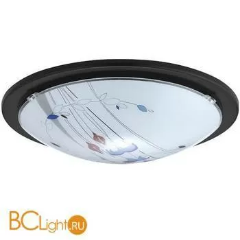 Настенно-потолочный светильник Eglo Planet 4 32125