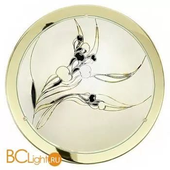 Настенно-потолочный светильник Eglo Planet3 83199