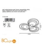 Настенно-потолочный светильник Eglo Ringo1 91473 - Схема