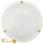 Настенно-потолочный светильник Eglo Salome 7185