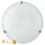 Настенно-потолочный светильник Eglo Salome 7902