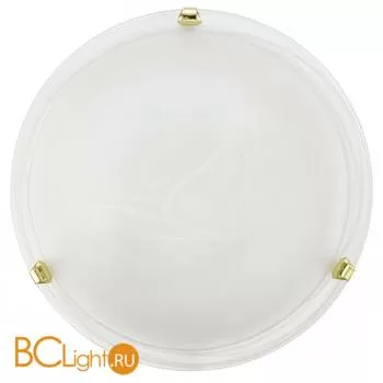 Настенно-потолочный светильник Eglo Salome 7183