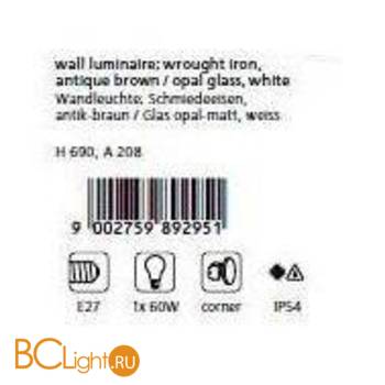 Настенный уличный светильник Eglo Torre 89295 - Схема