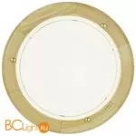 Настенно-потолочный светильник Eglo Ufo1 3890