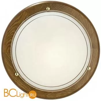 Настенно-потолочный светильник Eglo Ufo1 3891