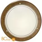 Настенно-потолочный светильник Eglo Ufo1 3891