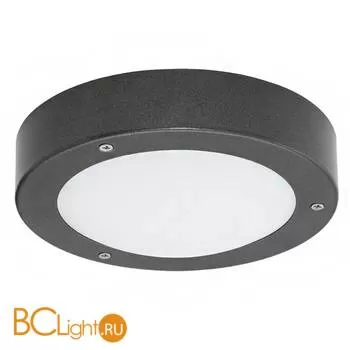 Настенно-потолочный уличный светильник Eglo Vento1 30907