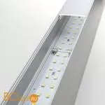 Настенный светильник Elektrostandard 101-100-40-103 a041470 - Фото 2