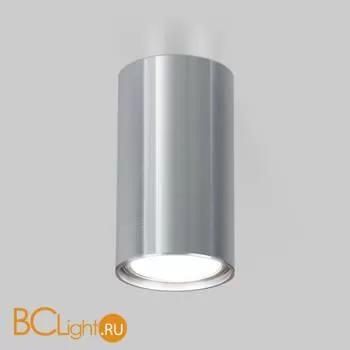 Спот Elektrostandard 1081 a038491