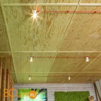 Спот Elektrostandard 1081 a037712 - Фото 3