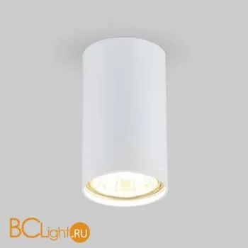 Спот Elektrostandard 1081 a037712