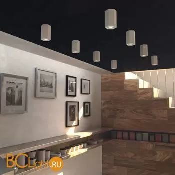 Спот Elektrostandard 25036/LED a055856 - Фото 1