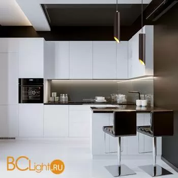 Подвесной светильник Elektrostandard 7011 MR16 BK/GD черный/золото - Фото 1