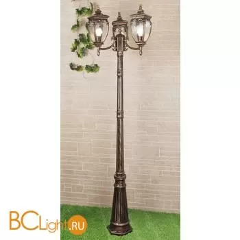 Садово-парковый фонарь Elektrostandard Andromeda GLYF-8024F/3 a028000