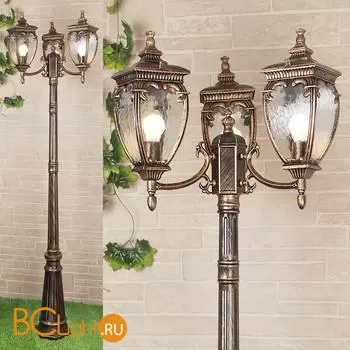 Садово-парковый фонарь Elektrostandard Andromeda GLYF-8024F/3 a028000 - Фото 0