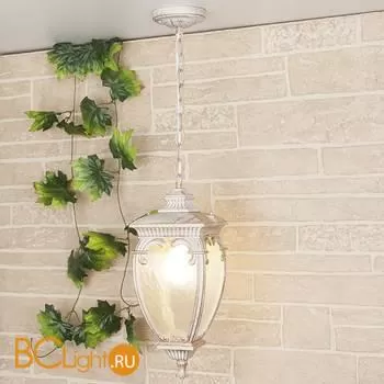 Уличный подвесной светильник Elektrostandard Andromeda GLYF-8024H a031656