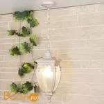 Уличный подвесной светильник Elektrostandard Andromeda GLYF-8024H a031656