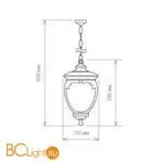 Уличный подвесной светильник Elektrostandard Andromeda GLYF-8024H a031656 - Фото 0