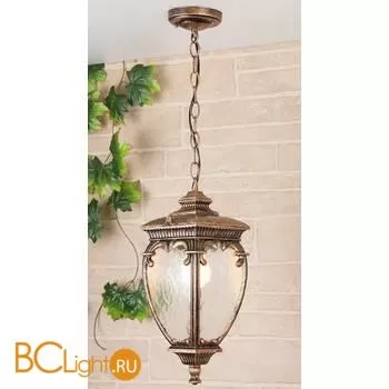 Уличный подвесной светильник Elektrostandard Andromeda GLYF-8024H a027997