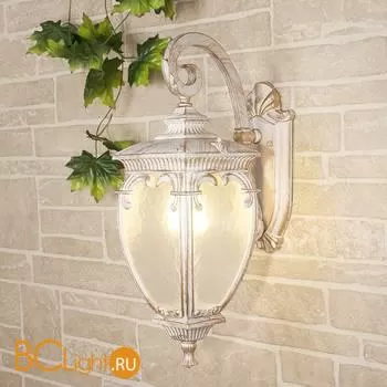 Уличный настенный светильник Elektrostandard Andromeda GLYF-8024D a031655