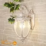 Уличный настенный светильник Elektrostandard Andromeda GLYF-8024D a031655