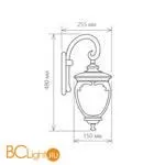 Уличный настенный светильник Elektrostandard Andromeda GLYF-8024D a027996 - Фото 0