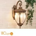 Уличный настенный светильник Elektrostandard Andromeda GLYF-8024D a027996