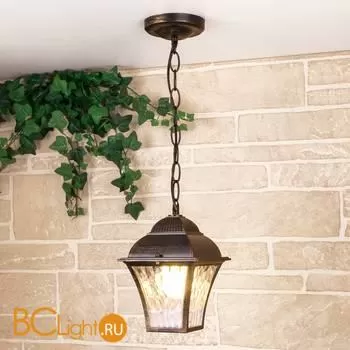 Уличный подвесной светильник Elektrostandard Apus GL 1009H a043115