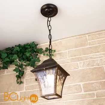 Уличный подвесной светильник Elektrostandard Apus GL 1009H a043115 - Фото 0