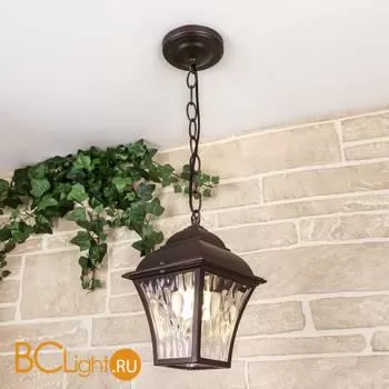 Уличный подвесной светильник Elektrostandard Apus GL 1009H a043114 - Фото 0