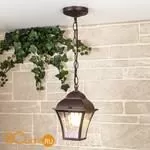 Уличный подвесной светильник Elektrostandard Apus GL 1009H a043114