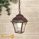 Уличный подвесной светильник Elektrostandard Apus GL 1009H a043114 - Фото 1