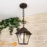 Уличный подвесной светильник Elektrostandard Apus GL 1009H a043114 - Фото 0